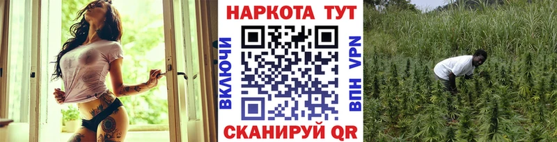 Как найти закладки Боровск ГАШИШ Конопля КЕТАМИН Мефедрон