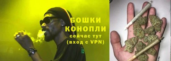шишки Баксан