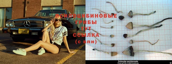 кокаин премиум Сатка