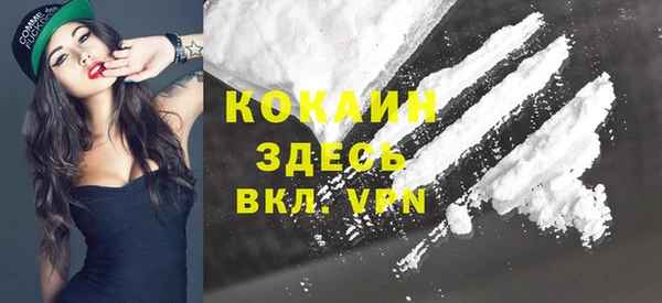 шишки Баксан